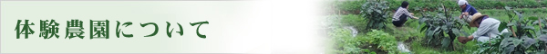 体験農園について