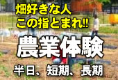 体験農園